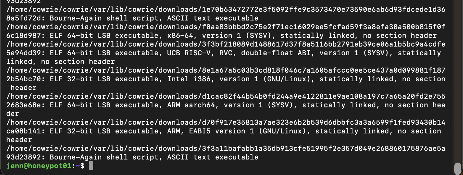 File identification results for five ELF binaries and two Bash scripts